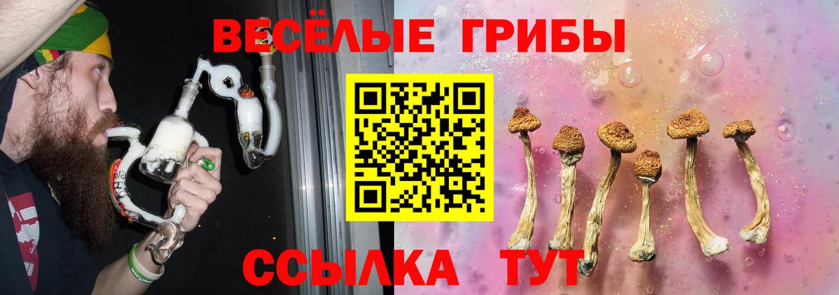 Удомля  Псилоцибиновые грибы мухоморы  Вход с VPN  Галлюциногенные грибы Psilocybine cubensis 